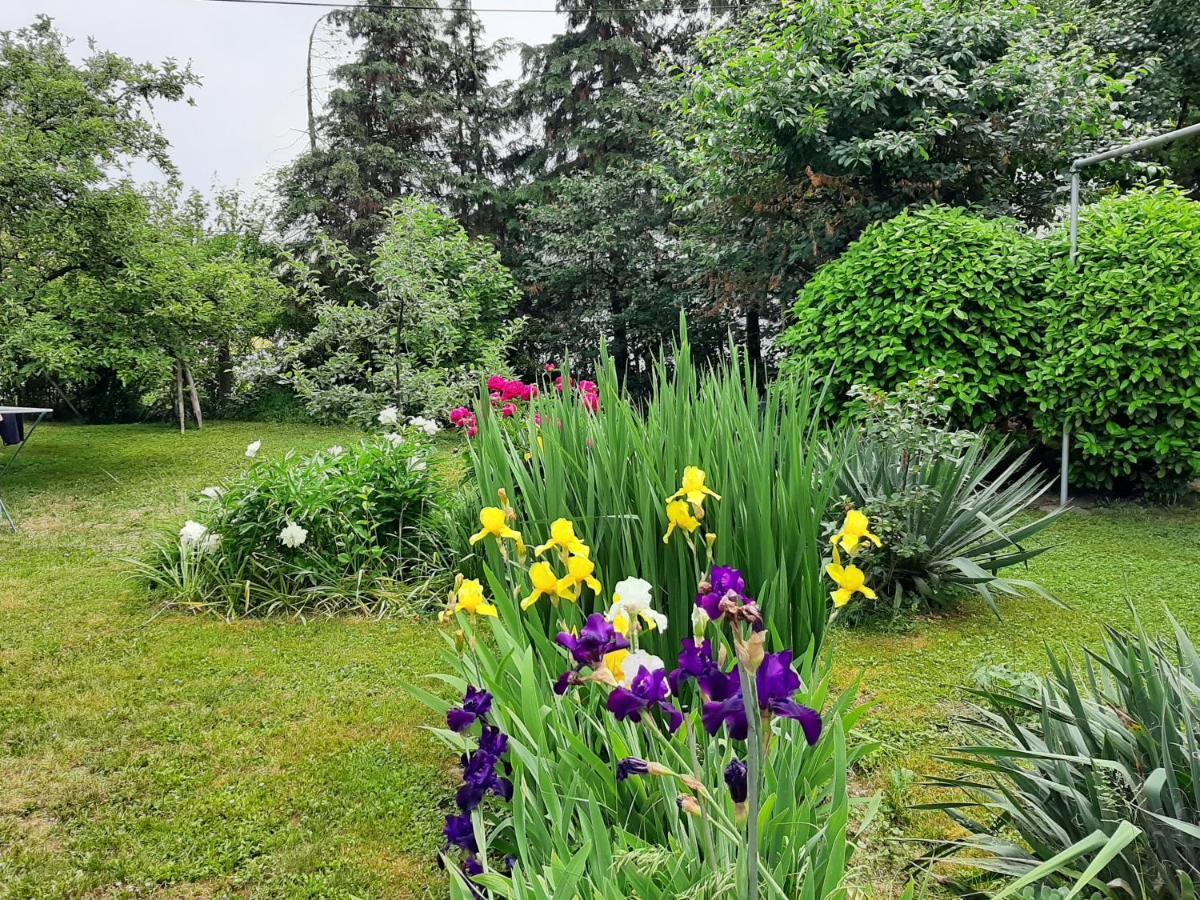 Magnolija Lägenhet Banja Luka Exteriör bild