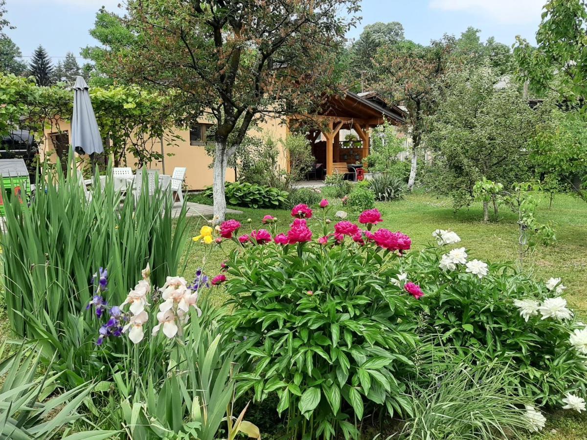 Magnolija Lägenhet Banja Luka Exteriör bild